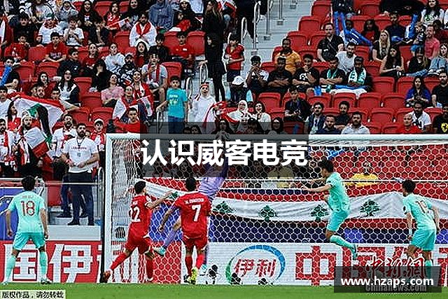 认识威客电竞
